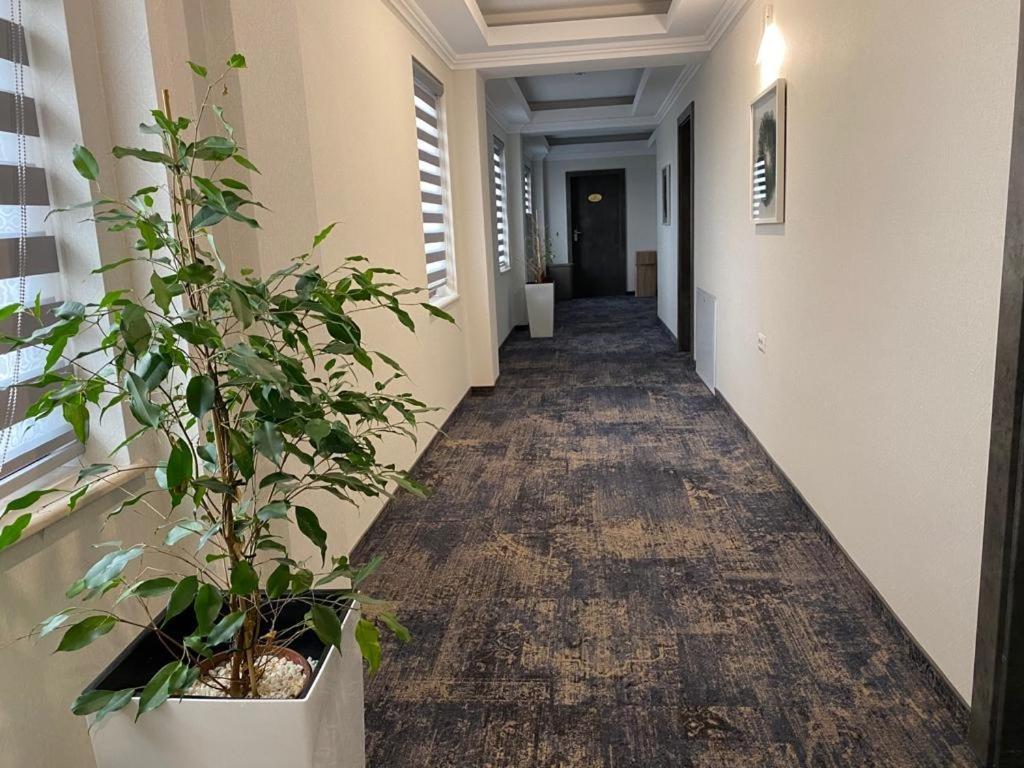 Hotel Yarus Plus Ploieşti Dış mekan fotoğraf